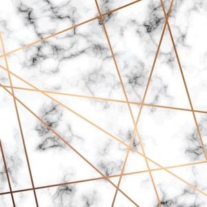 Meet your Posher, Rashonna